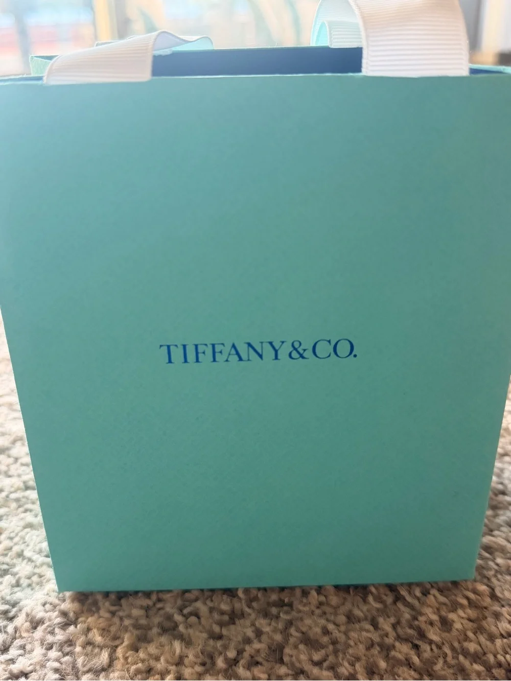 Authentic Tiffany & Co. Robin's-Egg Blue Gift Bag with White Ribbon Handles